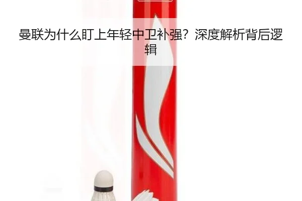 曼联为什么盯上年轻中卫补强？深度解析背后逻辑