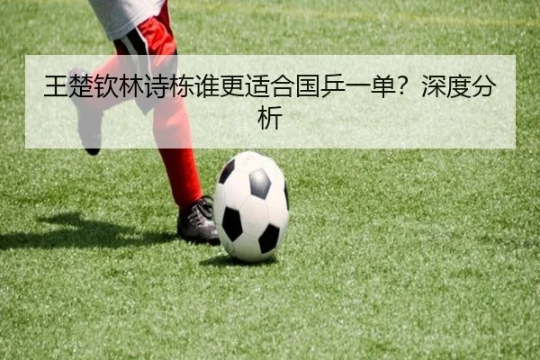 王楚钦林诗栋谁更适合国乒一单？深度分析
