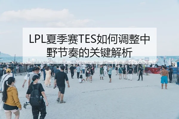 LPL夏季赛TES如何调整中野节奏的关键解析
